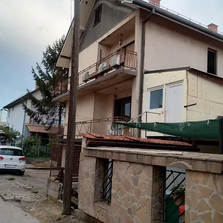 Golub Hostel *